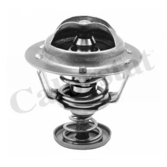 Thermostat d'eau CALORSTAT BY VERNET TH6295.85J