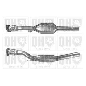 Catalyseur QUINTON HAZELL QCAT80172H
