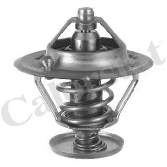 Thermostat d'eau CALORSTAT BY VERNET TH6296.78J