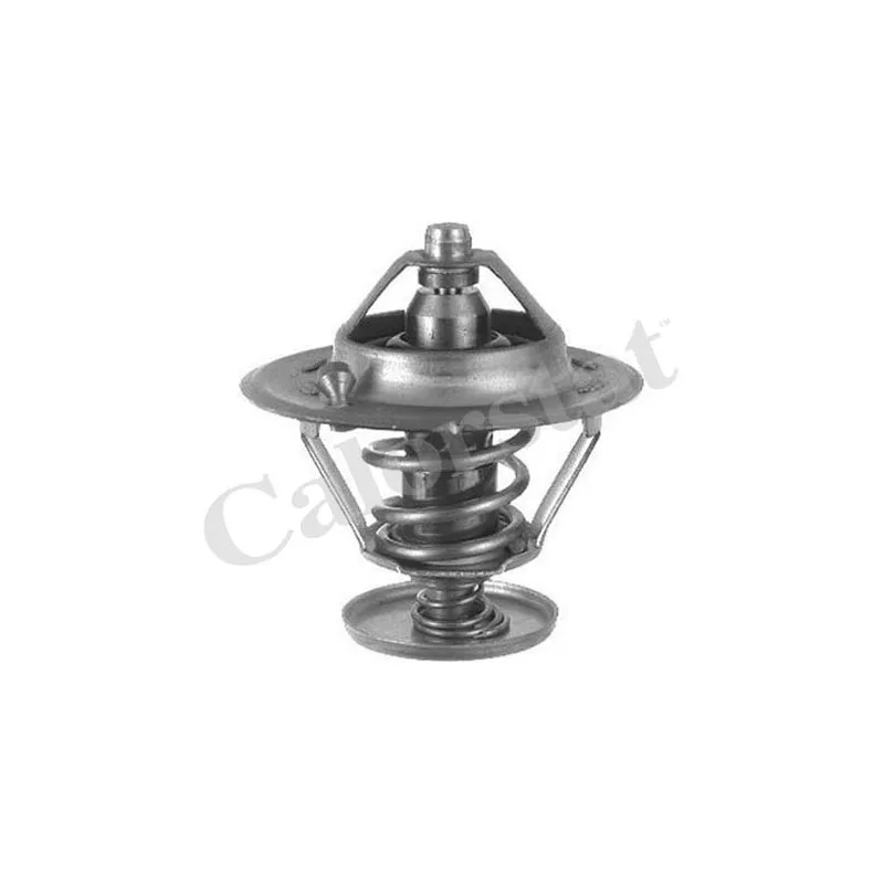 Thermostat d'eau CALORSTAT BY VERNET TH6296.78J