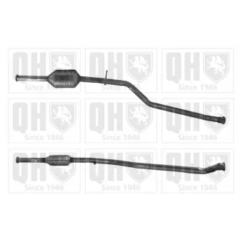 Catalyseur QUINTON HAZELL QCAT80192H