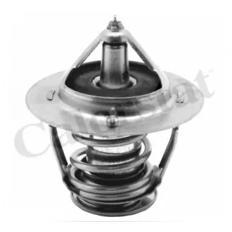 Thermostat d'eau CALORSTAT BY VERNET