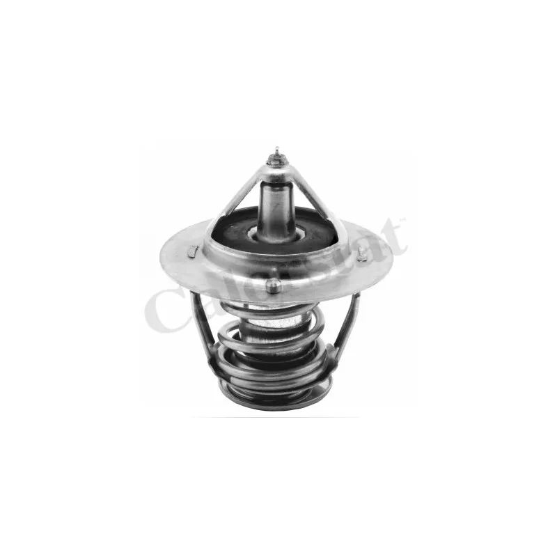Thermostat d'eau CALORSTAT BY VERNET TH6297.82J