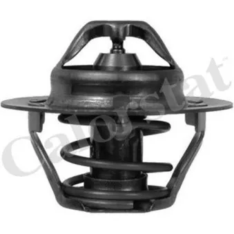 Thermostat d'eau CALORSTAT BY VERNET TH6310.82J