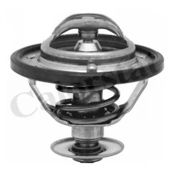 Thermostat d'eau CALORSTAT BY VERNET TH6311.82J