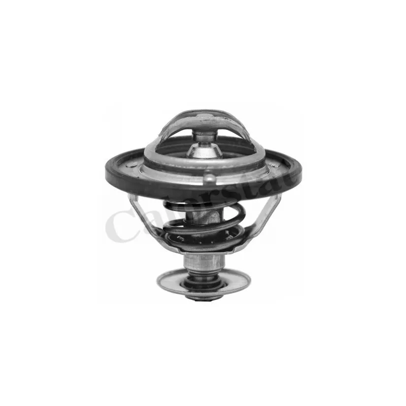 Thermostat d'eau CALORSTAT BY VERNET TH6311.82J
