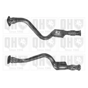 Catalyseur QUINTON HAZELL QCAT80234H