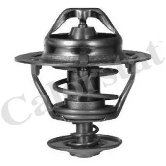 Thermostat d'eau CALORSTAT BY VERNET
