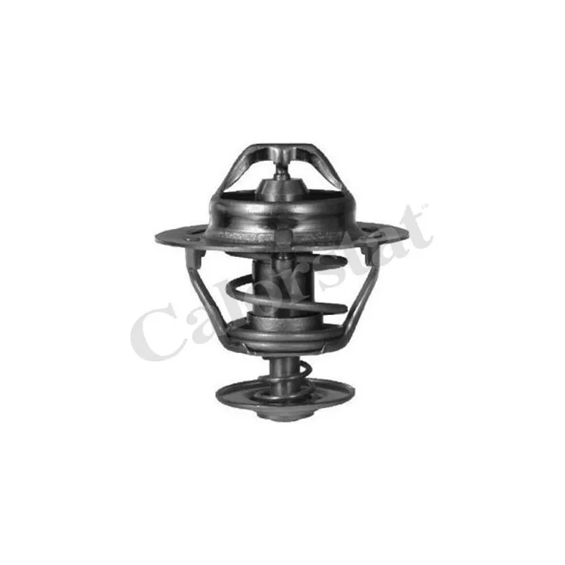 Thermostat d'eau CALORSTAT BY VERNET TH6312.88J