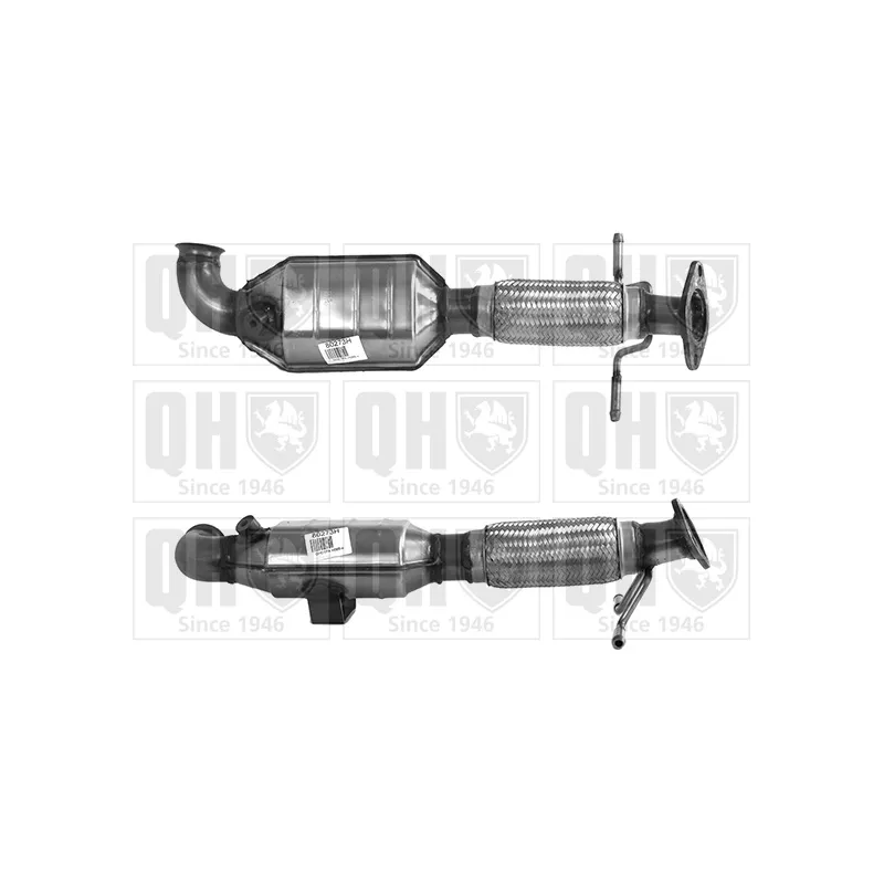 Catalyseur QUINTON HAZELL QCAT80273H