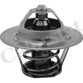 Thermostat d'eau CALORSTAT BY VERNET TH6313.82J