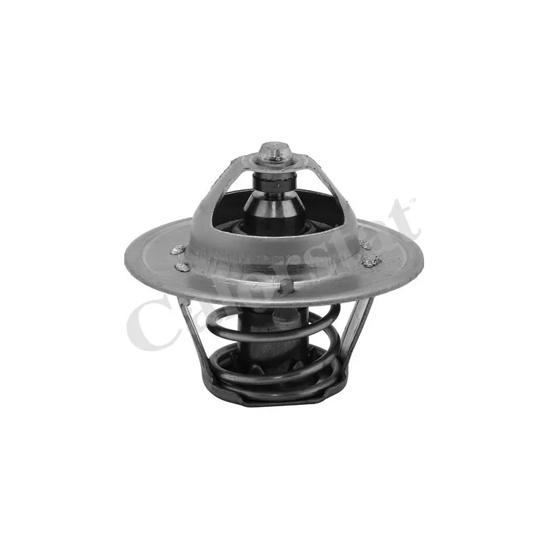 Thermostat d'eau CALORSTAT BY VERNET TH6313.82J