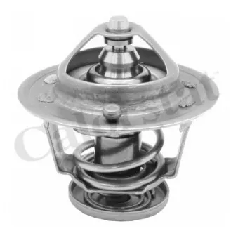 Thermostat d'eau CALORSTAT BY VERNET TH6314.76