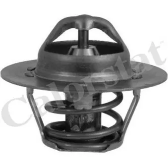 Thermostat d'eau CALORSTAT BY VERNET TH6318.89J