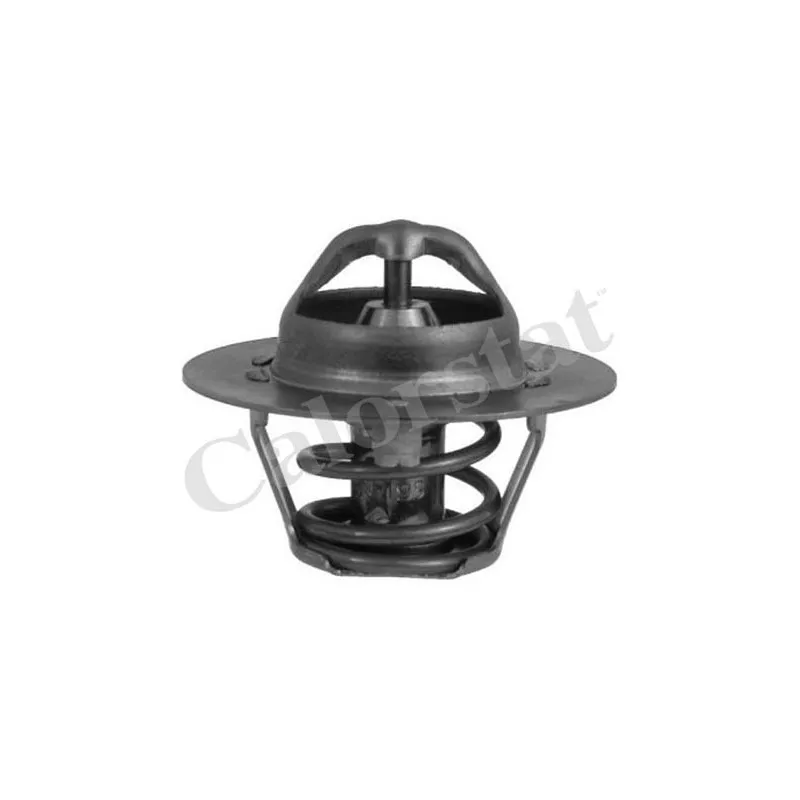 Thermostat d'eau CALORSTAT BY VERNET TH6318.89J