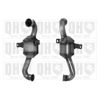 Catalyseur QUINTON HAZELL QCAT80339H