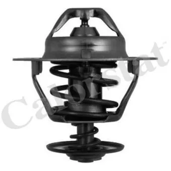 Thermostat d'eau CALORSTAT BY VERNET TH6319.82J
