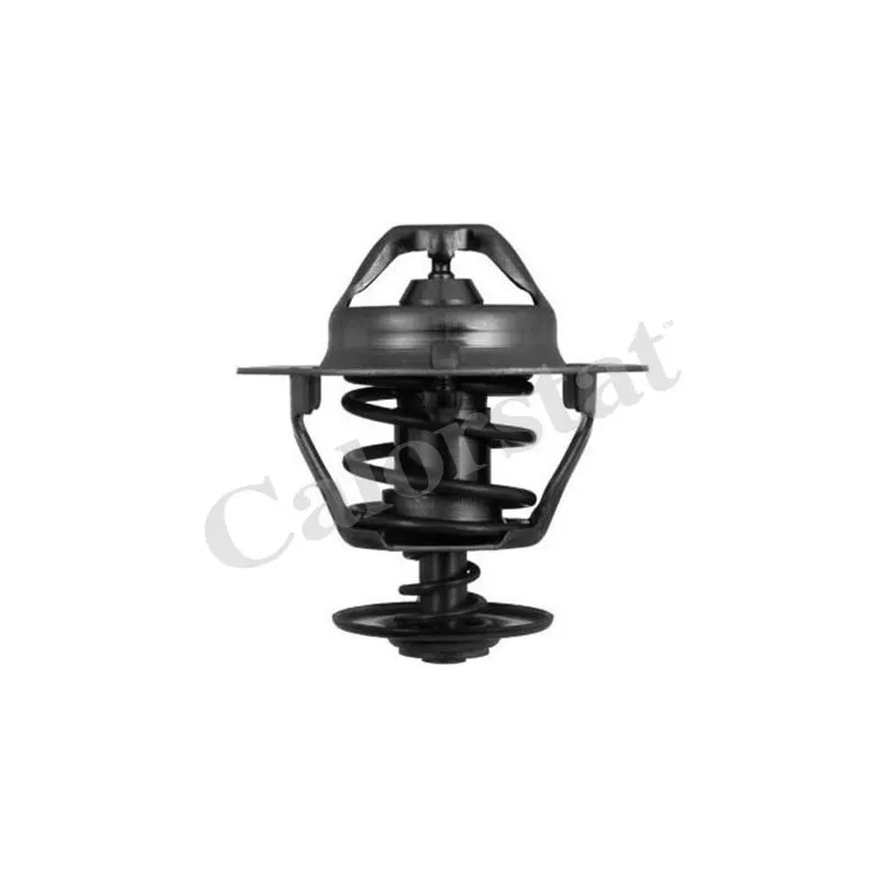 Thermostat d'eau CALORSTAT BY VERNET TH6319.82J