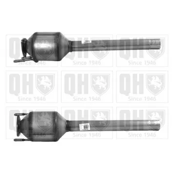 Catalyseur QUINTON HAZELL QCAT80365H