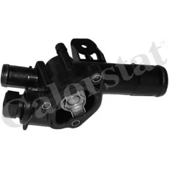 Thermostat d'eau CALORSTAT BY VERNET TH6416.83J
