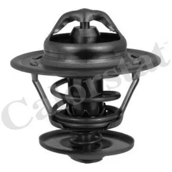 Thermostat d'eau CALORSTAT BY VERNET TH6434.82J