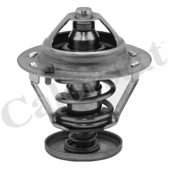 Thermostat d'eau CALORSTAT BY VERNET TH6484.76J