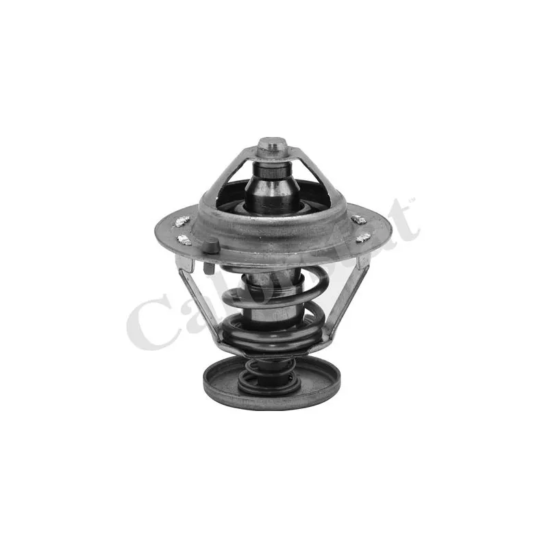 Thermostat d'eau CALORSTAT BY VERNET TH6484.76J