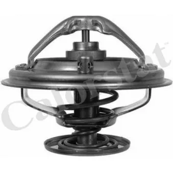 Thermostat d'eau CALORSTAT BY VERNET TH6497.85J