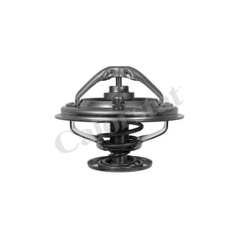 Thermostat d'eau CALORSTAT BY VERNET TH6497.85J