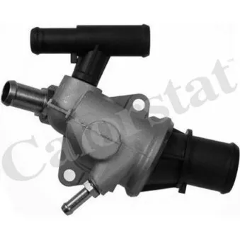 Thermostat d'eau CALORSTAT BY VERNET