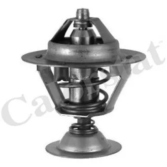 Thermostat d'eau CALORSTAT BY VERNET