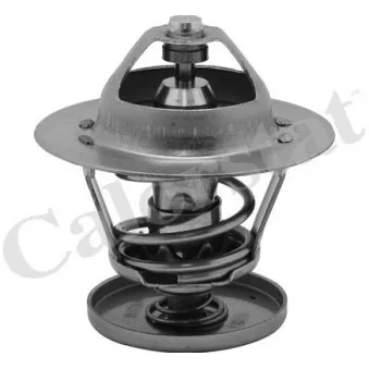 Thermostat d'eau CALORSTAT BY VERNET TH6526.88J