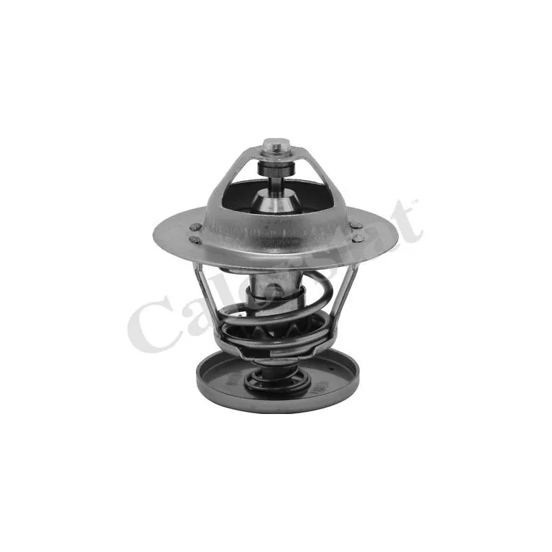 Thermostat d'eau CALORSTAT BY VERNET TH6526.88J