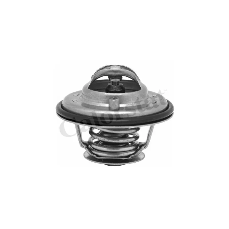 Thermostat d'eau CALORSTAT BY VERNET TH6533.80J