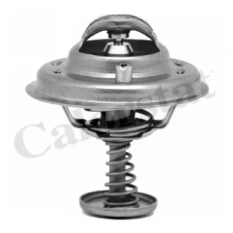 Thermostat d'eau CALORSTAT BY VERNET TH6543.80J