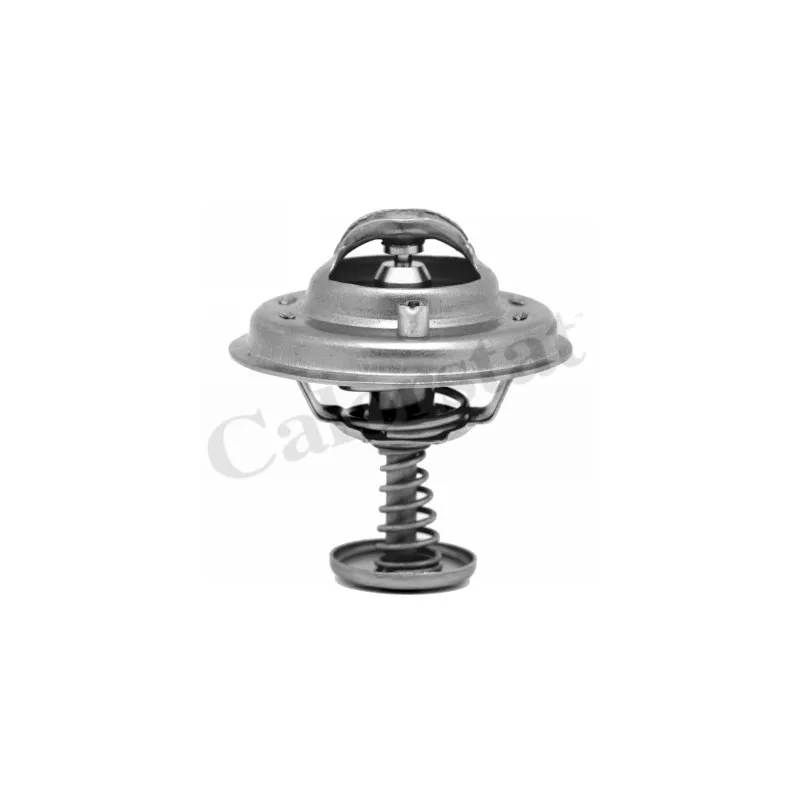 Thermostat d'eau CALORSTAT BY VERNET TH6543.80J