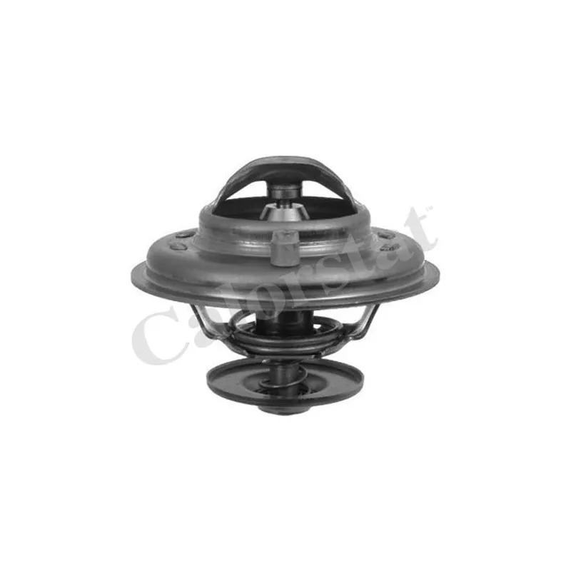 Thermostat d'eau CALORSTAT BY VERNET TH6544.75J