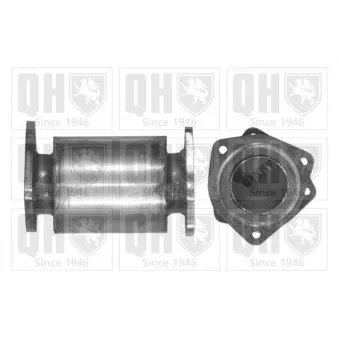 Catalyseur QUINTON HAZELL QCAT91141H