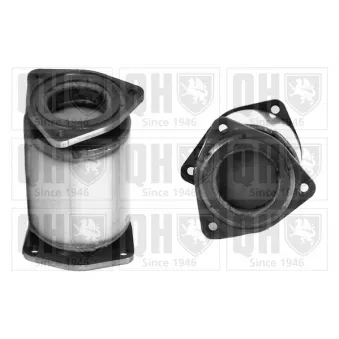 Catalyseur QUINTON HAZELL QCAT91230H