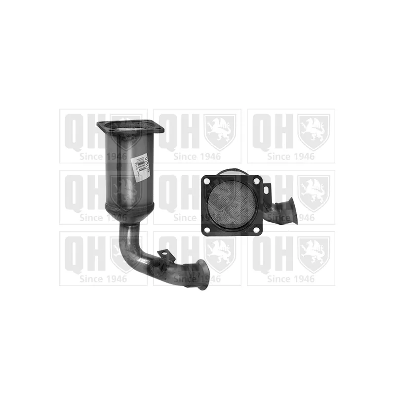 Catalyseur QUINTON HAZELL QCAT91313H