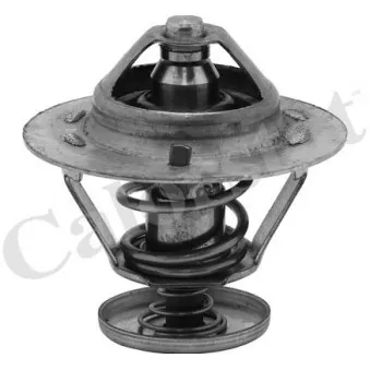 Thermostat d'eau CALORSTAT BY VERNET TH6577.82J