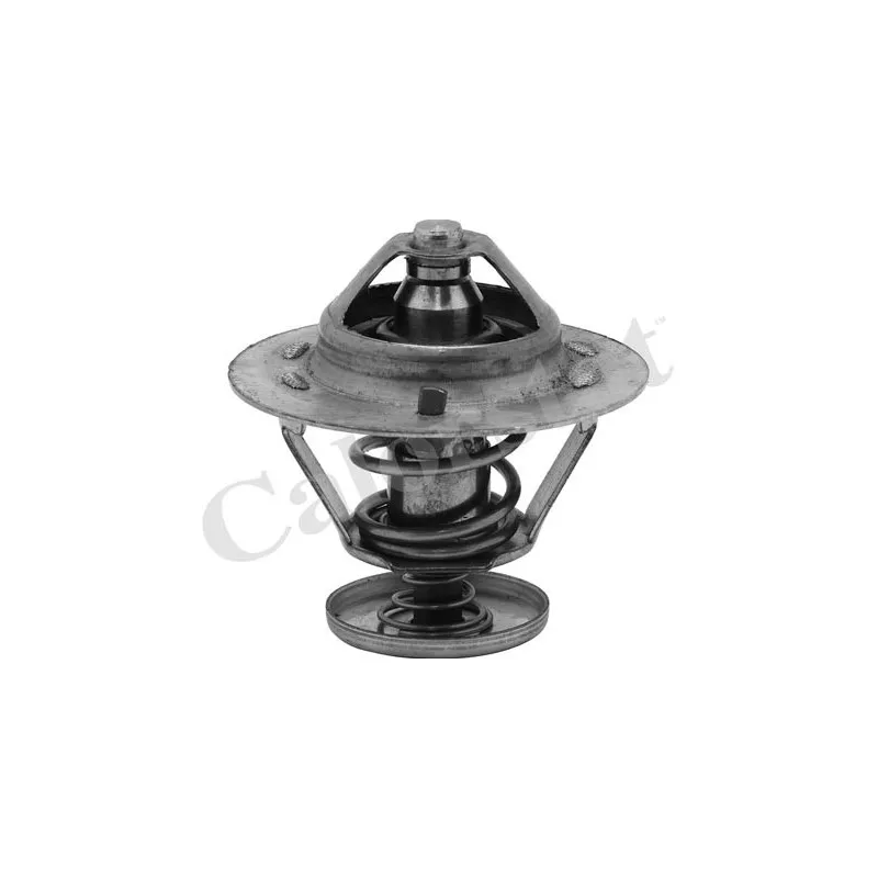 Thermostat d'eau CALORSTAT BY VERNET TH6577.82J