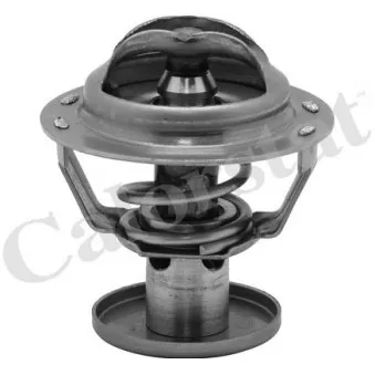 Thermostat d'eau CALORSTAT BY VERNET TH6578.87J