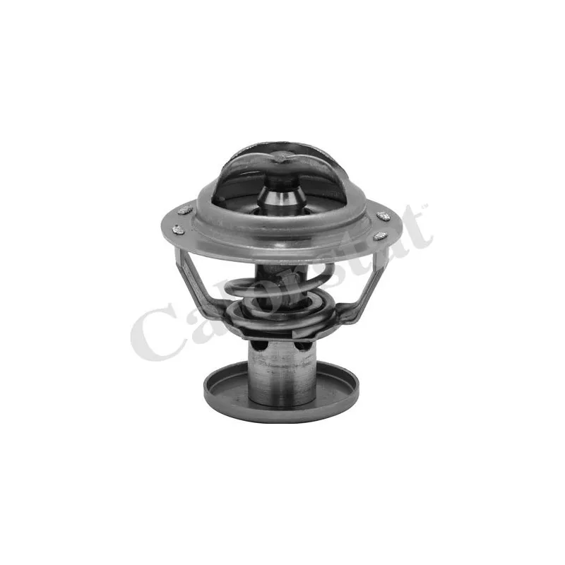 Thermostat d'eau CALORSTAT BY VERNET TH6578.87J