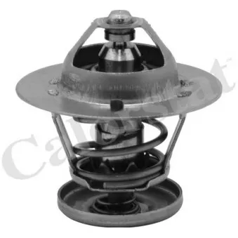 Thermostat d'eau CALORSTAT BY VERNET TH6580.82J