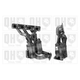 Catalyseur QUINTON HAZELL