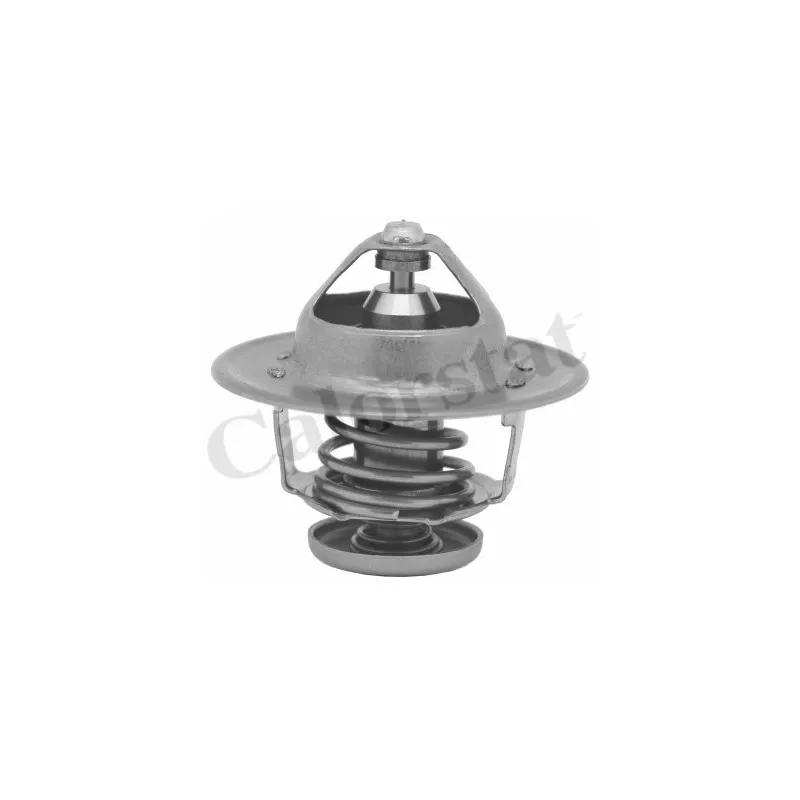 Thermostat d'eau CALORSTAT BY VERNET TH6581.82J