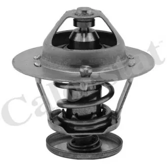 Thermostat d'eau CALORSTAT BY VERNET TH6585.82J