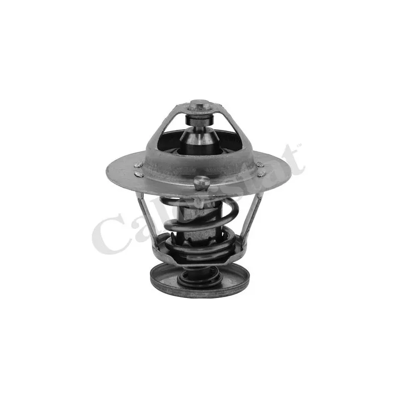 Thermostat d'eau CALORSTAT BY VERNET TH6585.82J