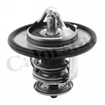 Thermostat d'eau CALORSTAT BY VERNET TH6587.82J
